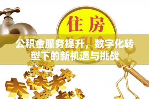 奉化公积金服务提升，数字化转型下的新机遇与挑战