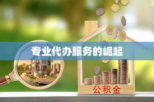 奉化专业代办服务的崛起